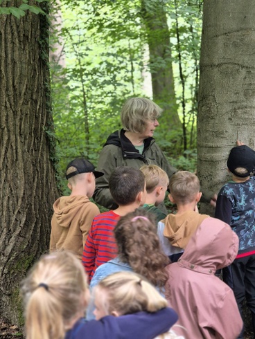 Baumrinde